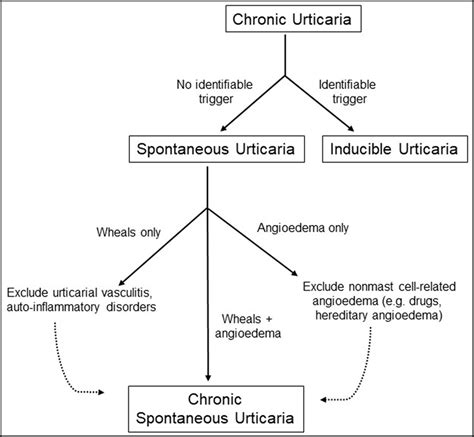 work up for urticaria